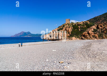 Plage et tour génoise. Porto, Corse, France Banque D'Images