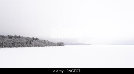 Réservoir Ashokan approvisionne, la destination touristique dans le Nord de l'État dans l'État partie de l'approvisionnement en eau de New York. Scène d'hiver, pendant une tempête. Réservoir couvert de neige et d'arbres Banque D'Images