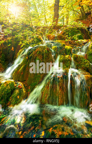Belles cascades dans le parc national des lacs de Plitvice en forêt le jour d'automne ensoleillé, Croatie