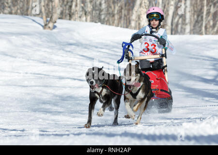 Compétitions Enfants Kamchatka Course de chiens de traîneau (Dyulin Beringia). L'exécution de traîneau à chien husky jeune musher Semashkina Lydia. Banque D'Images