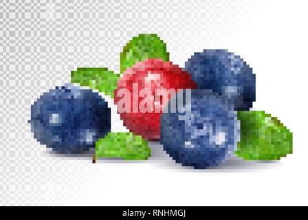 Les bleuets et les canneberges avec des feuilles. Vecteur réaliste de qualité, 3d illustration Illustration de Vecteur