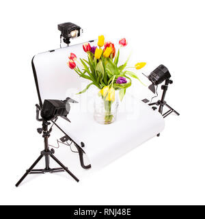 Table de prise de vue Photo Nature morte avec des lumières et des Tulipes sur fond blanc Banque D'Images