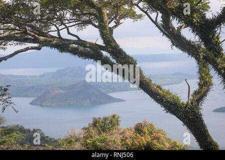 Paysage d'îles exotiques à travers des arbres - volcan Taal, Tagaytay, Philippines Banque D'Images