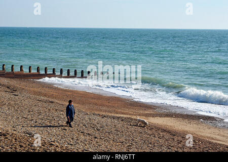 Woman walking dog sur la plage d'Eastbourne, East Sussex, UK. Un soleil réunit les gens sur le front en février. Banque D'Images