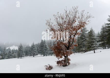 Montagnes enneigées du Bozkir district de Konya province de Turquie Banque D'Images