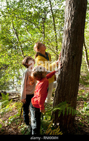 Famille dans la forêt domaniale de Raismes-Saint-Amand-Wallers, réserve naturelle du parc naturel régional Scarpe-Escaut (nord de la France). Femme, mo Banque D'Images