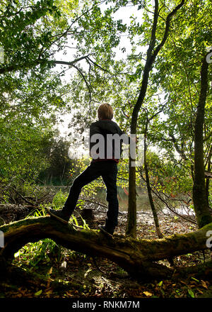 Sur son propre enfant dans un sous-bois de la forêt domaniale de Raismes-Saint-Amand-Wallers, réserve naturelle du parc naturel régional Scarpe-Escaut Banque D'Images