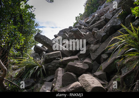 Les tuyaux d'orgue, colonnes de basalte unique Mt Cargill, Dunedin, Nouvelle-Zélande. Les affleurements et tas de piliers brisés, causés par les tremblements de terre et l'altération. Banque D'Images