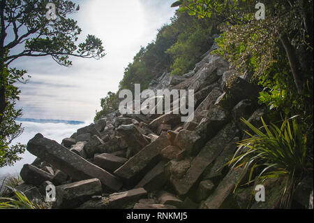 Les tuyaux d'orgue, colonnes de basalte unique Mt Cargill, Dunedin, Nouvelle-Zélande. Les affleurements et tas de piliers brisés, causés par les tremblements de terre et l'altération. Banque D'Images