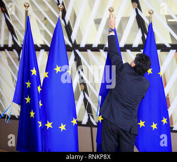 Belgique, Bruxelles, le 2018/11/25 Brexit : sommet de l'UE, l'homme l'installation de drapeaux européens Banque D'Images