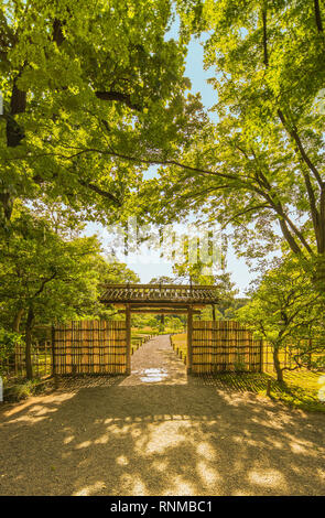 Petit bambou intérieur porte du jardin de sous les érables de Rikugien qui laissent entrer les rayons du soleil. Banque D'Images