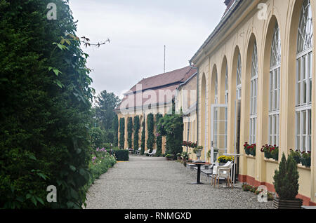 À partir de détails jardin extérieur de l'ancien Palais Brukenthal Avrig Banque D'Images