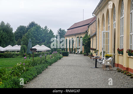 À partir de détails jardin extérieur de l'ancien Palais Brukenthal Avrig Banque D'Images