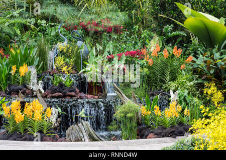 Le Jardin Botanique de Singapour, National Orchid Garden. Banque D'Images