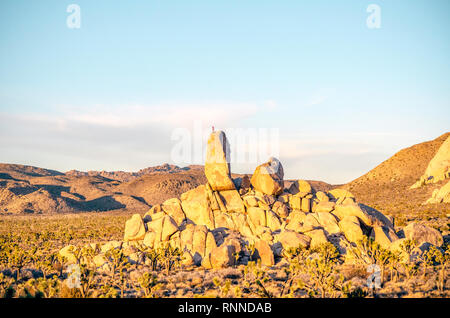 Rock pierre tombale est bien visible dans la région de camping Ryan de Joshua Tree National Park en Californie, USA. Banque D'Images