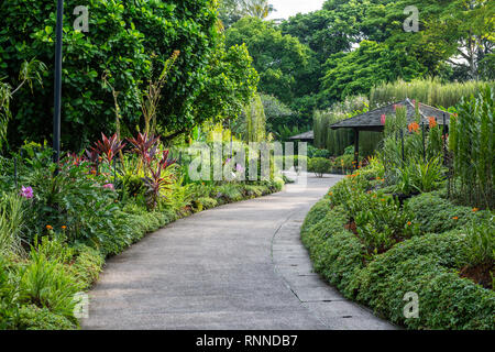 Le Jardin Botanique de Singapour, les parcours dans les Jardin des Orchidées. Banque D'Images