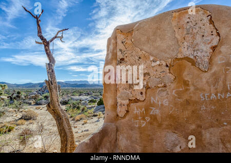 Le Ryan Ranch house est un adobe structure construite en 1896 dans ce qui est maintenant le parc national Joshua Tree, CA. Banque D'Images