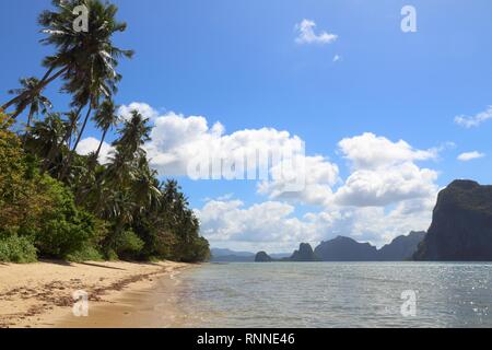 Se penchant palmiers de Las Cabanas beach à El Nido, l'île de Palawan, Philippines. Banque D'Images