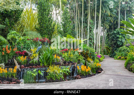 Le Jardin Botanique de Singapour, les parcours dans les Jardin des Orchidées. Banque D'Images