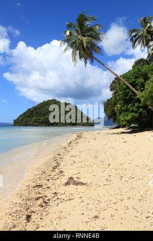 Se penchant palmiers de Las Cabanas beach à El Nido, l'île de Palawan, Philippines. Banque D'Images