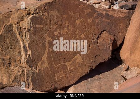 Gravures rupestres, Twyfelfontein, Namibie Banque D'Images