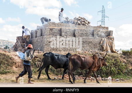 Agriculteur avec charrue manuelle  + argile  + Zébu Madagascar Banque D'Images