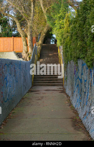 Un escalier en béton le long d'une allée en entre les maisons dans un quartier de Maple Ridge, en Colombie-Britannique. Banque D'Images