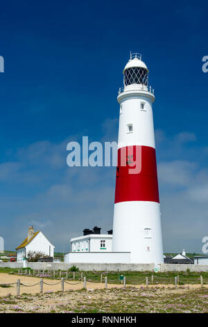 Le rouge et blanc rayé phare de Portland Bill Dorset England UK Europe Banque D'Images