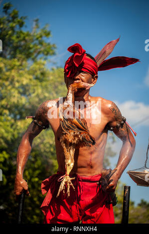 Singakawang, Indonésie. Feb 19, 2019. Une scène vu Tatung lors de la Cap Rendez-meh célébration du festival. L'art ancien du Tatung, qui est une partie de la Pac Rendez-Meh Festival, est soupçonné d'avoir un mauvais esprit qui peut affecter la vie des gens. La Pac Rendez-Meh Festival a également connu sous le nom de Fête des lanternes est célébré le 15e jour de l'Année lunaire chinoise et elle marque la fin de la fête du Nouvel An chinois. Credit : SOPA/Alamy Images Limited Live News Banque D'Images