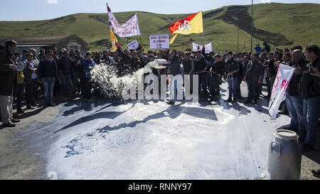 17 février 2019 - Enna, Sicile, Italie - bergers sont vu verser des bidons de lait sur la rue pendant la manifestation..Les producteurs de lait de la Sicile, en protestation contre la faible Dittaino, prix du lait et de la concurrence du lait produit dans les autres pays. Les producteurs versé plus de 2000 portées de lait dans les rues et ont tenté de bloquer l'autoroute Palerme-catane. (Crédit Image : © Danilo Campailla/SOPA des images à l'aide de Zuma sur le fil) Banque D'Images