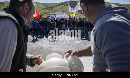 17 février 2019 - Enna, Sicile, Italie - bergers sont vu verser un peut de lait dans la rue pendant la manifestation..Les producteurs de lait de la Sicile, en protestation contre la faible Dittaino, prix du lait et de la concurrence du lait produit dans les autres pays. Les producteurs versé plus de 2000 portées de lait dans les rues et ont tenté de bloquer l'autoroute Palerme-catane. (Crédit Image : © Danilo Campailla/SOPA des images à l'aide de Zuma sur le fil) Banque D'Images