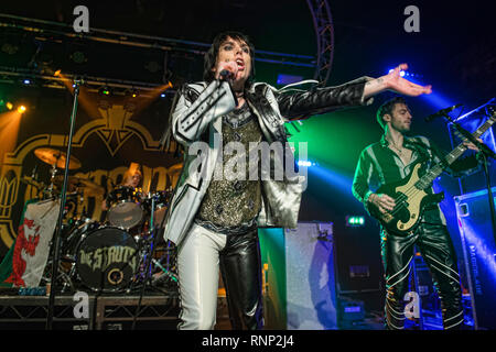 Glasgow, Ecosse, Royaume-Uni. Feb 19, 2019. Rockers anglais le framework Struts glam le garage. Crédit : Stuart Westwood/Alamy Live News Banque D'Images