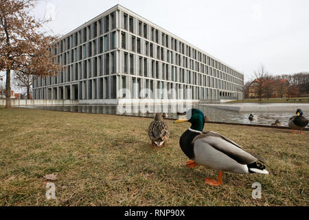 Erfurt, Allemagne. Feb 20, 2019. Les canards s'exécuter avant le Tribunal fédéral du Travail, qui est actuellement le statut spécial de l'Eglise catholique en tant qu'employeur en Allemagne. Il s'agit de la médecin en chef d'un hôpital catholique à Düsseldorf, qui a été rejeté parce qu'il épouse un divorcé pour la deuxième fois. L'affaire a occupé les tribunaux pendant des années. Crédit : Michael Reichel/dpa/Alamy Live News Banque D'Images