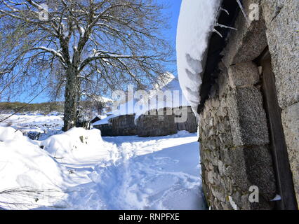 Piornedo, Ancares, Galice, Espagne. Neige ancienne palloza maisons faites de pierre et de paille. Toits avec glaçons, village couvert de neige. Banque D'Images
