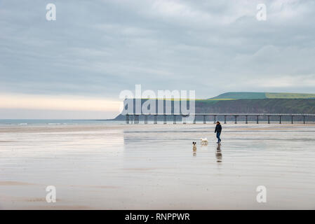 Dog Walker sur la plage à Sawai madhopur, North Yorkshire, Angleterre Banque D'Images