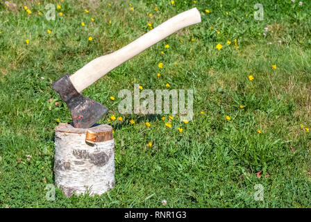 Ax coincé dans une vieille souche de bouleau, sur fond d'herbe verte. Banque D'Images