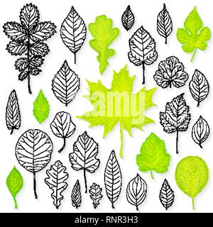 Vector set de feuilles Illustration de Vecteur
