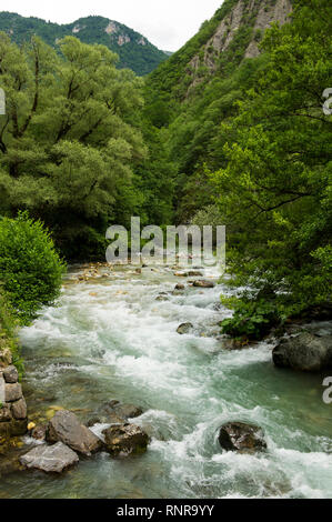 Rivière Radika, parc national de Mavrovo, Macédoine Banque D'Images