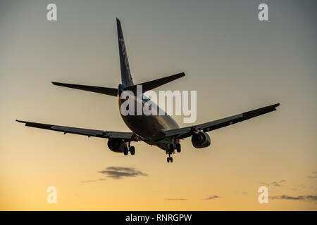 OSAKA, JAPON - JAN. 3, 2019 : ANA Boeing 737-500 pouvant accueillir les ailes à l'atterrissage de l'Aéroport International d'Itami à Osaka, Japon au crépuscule. Banque D'Images