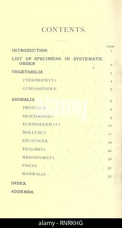 Catalogue des types et figuré de spécimens dans le département géologique Banque D'Images