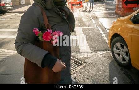 Une femme, tous regroupés dans le froid, attend pour traverser la Cinquième Avenue à New York avec sa pré-Saint-valentin roses le samedi 9 février 2019. (Â© Richard B. Levine) Banque D'Images