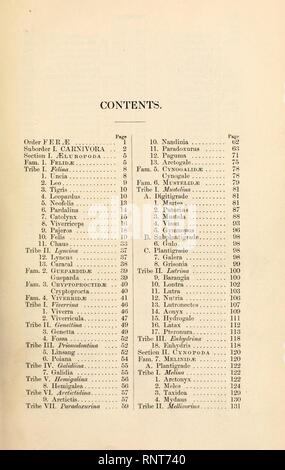 Catalogue de carnivore, il pachydermatous et de personnes édentées Mammalia ... Banque D'Images