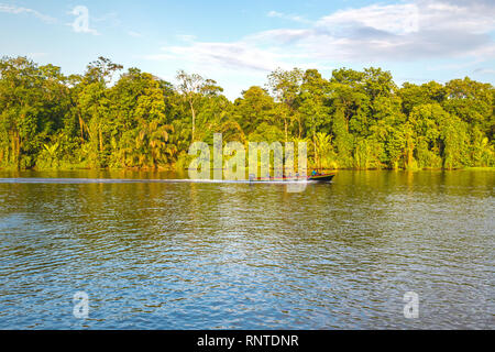 Faites une excursion en bateau pour observer les oiseaux avec les touristes dans le parc national de Tortuguero, près de la mer des Caraïbes, au Costa Rica. Banque D'Images