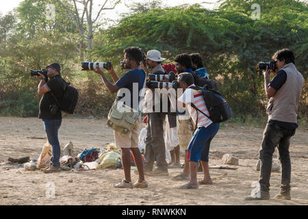 Groupe photographie prise de vue à Pushkar Foire de chameau au Rajasthan, Inde Banque D'Images
