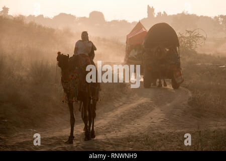Randonnée chamelière à Pushkar, Inde Banque D'Images