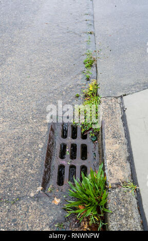 L'eau qui coule dans la rue à un collecteur d'eaux pluviales sur un jour de pluie. Banque D'Images