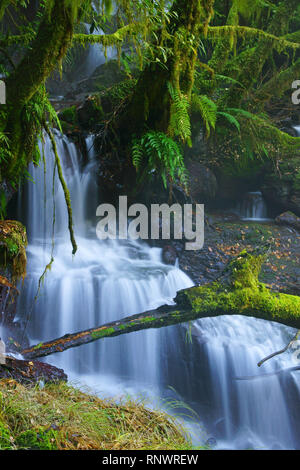 Hot spring s'écoulant à travers valley Banque D'Images