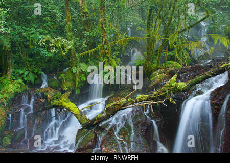 Hot spring s'écoulant à travers valley Banque D'Images