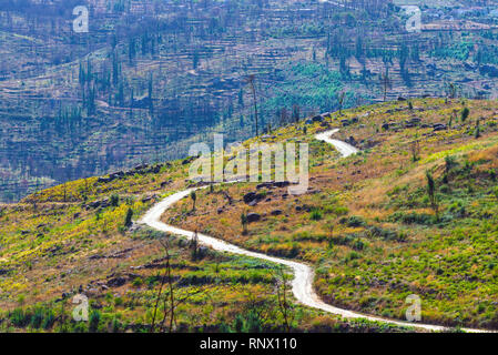 Route sinueuse rural sans fin à travers les collines en parc national au Portugal Banque D'Images