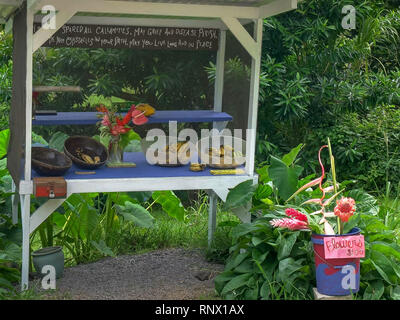 Une variété de fleurs fraîchement coupées et des fruits pour la vente à un éventaire sur la route de Hana Banque D'Images